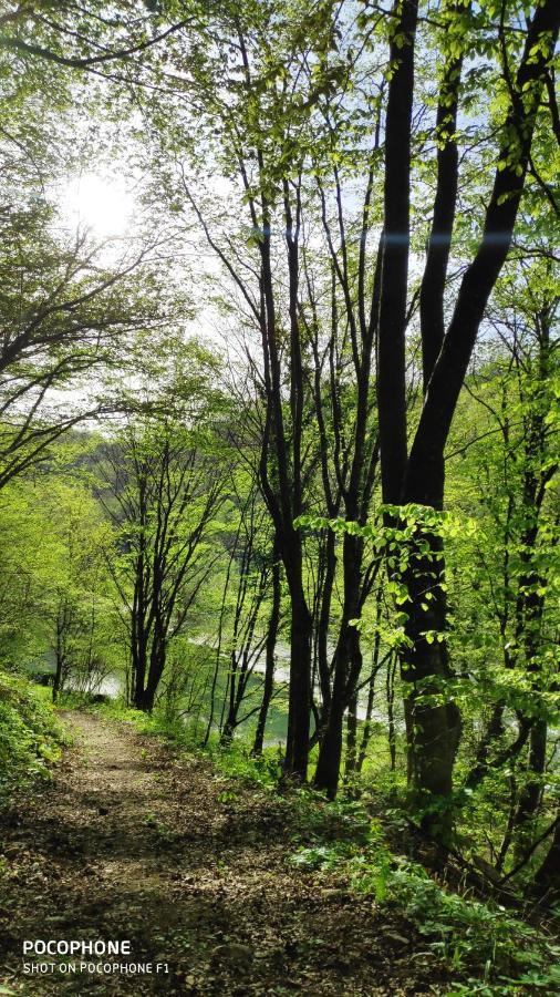 Smaragd River Near Rastoke & Plitvice Lakes Slunj Eksteriør billede